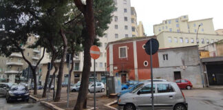 Foggia, alberi abbattuti in piazza Pavoncelli