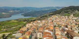 Merenda nell’Oliveta, a Carlantino “L’olio della Repubblica”