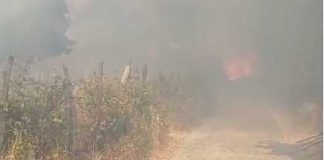Ancora fiamme sul Gargano: grosso incendio a Monte Sant’Angelo