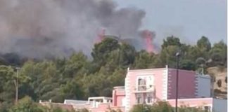 Emergenza incendi sul Gargano: nuovo fronte in corso a Vieste