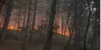 Rogo sui Monti Dauni: in fumo 50 ettari a Biccari, evacuati turisti