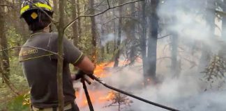 Emergenza incendi, di nuovo fiamme in provincia di Foggia