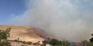 Il Gargano continua maledettamente a bruciare: fiamme a San Giovanni Rotondo