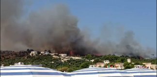 Gargano senza pace: di nuovo fiamme e paura a Vieste, un centinaio di persone evacuate