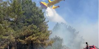 Incendio ad Alberona: in corso la bonifica