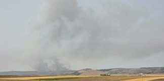 Gargano in fiamme: preoccupante incendio a Vico, in azione i mezzi aerei