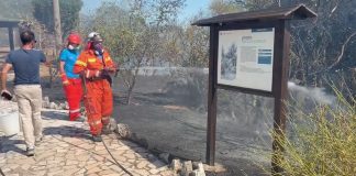 Paura a Borgo Celano: un incendio minaccia il Parco dei Dinosauri
