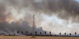 I roghi continuano a incenerire la provincia di Foggia: fiamme all’Oasi Laguna del Re
