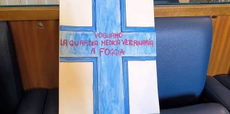 Foggia, mobilitazione per la guardia medica veterinaria