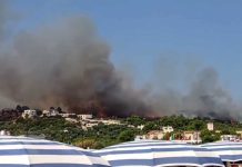 Vieste, arrestato un 33enne volontario della Protezione Civile