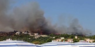 Vieste, arrestato un 33enne volontario della Protezione Civile