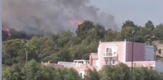 Gargano, volontario della Protezione Civile arrestato per gli incendi estivi