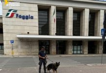 Estate 2026: le Fiamme Gialle di Manfredonia hanno segnalato 163 assuntori di stupefacenti