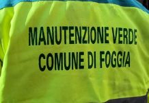 Il Tar annulla la gara del verde a Foggia: bufera politica e rischio paralisi tra l’incuria diffusa