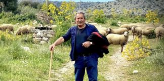San Giovanni Rotondo, tragedia sulla provinciale: pastore muore travolto da un’auto