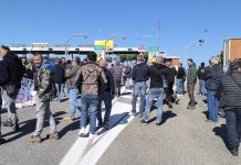 Gargano: riaprono gli oleifici, sbloccato il carburante per gli agricoltori