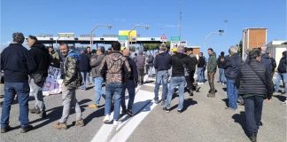 Gargano: riaprono gli oleifici, sbloccato il carburante per gli agricoltori
