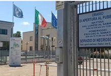 Allarme Carbonchio Ematico in Capitanata: la ASL attiva misure urgenti